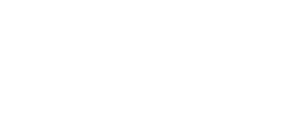 Orev Security