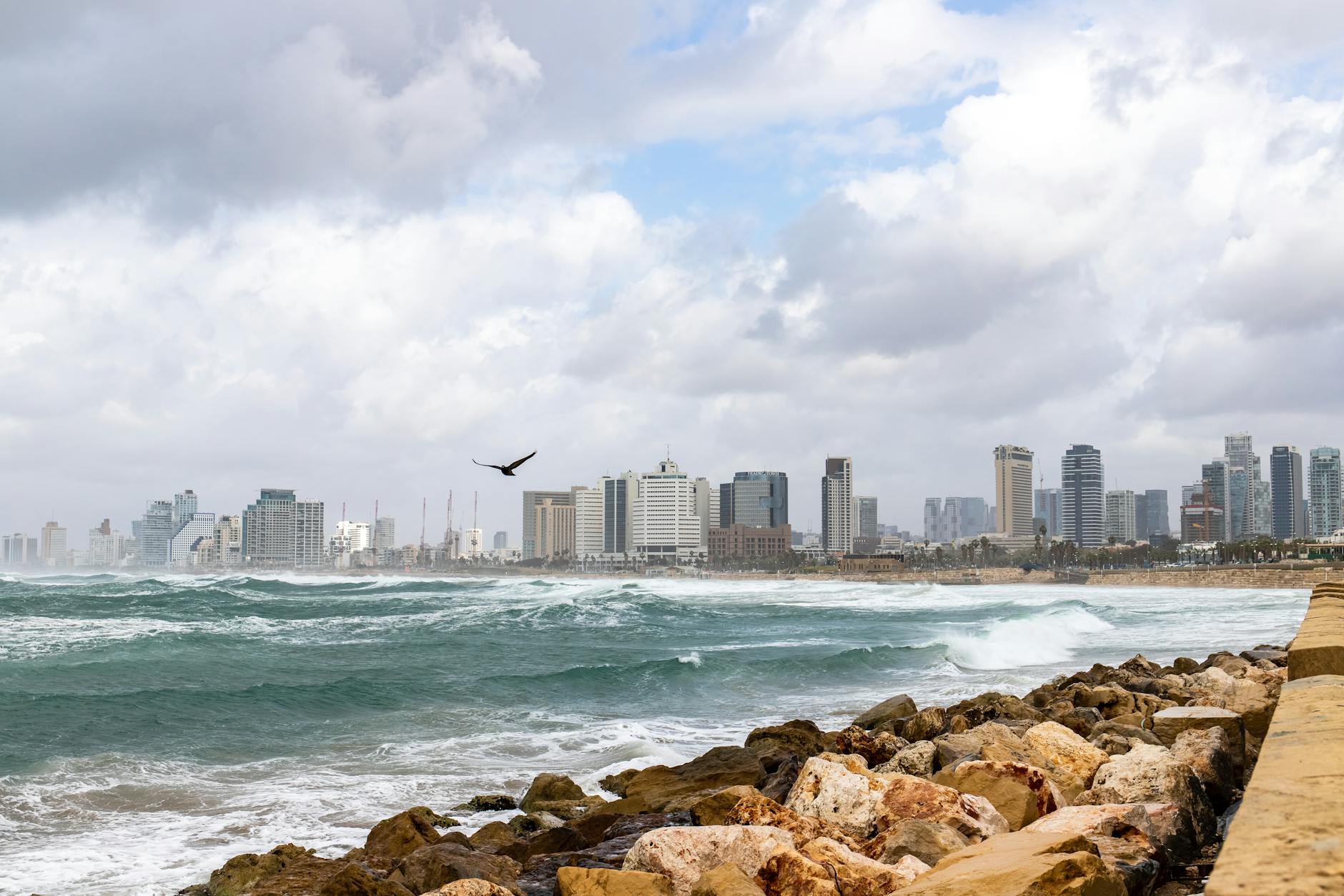 Tel Aviv coastline and skyline — a major tourist destination in Israel