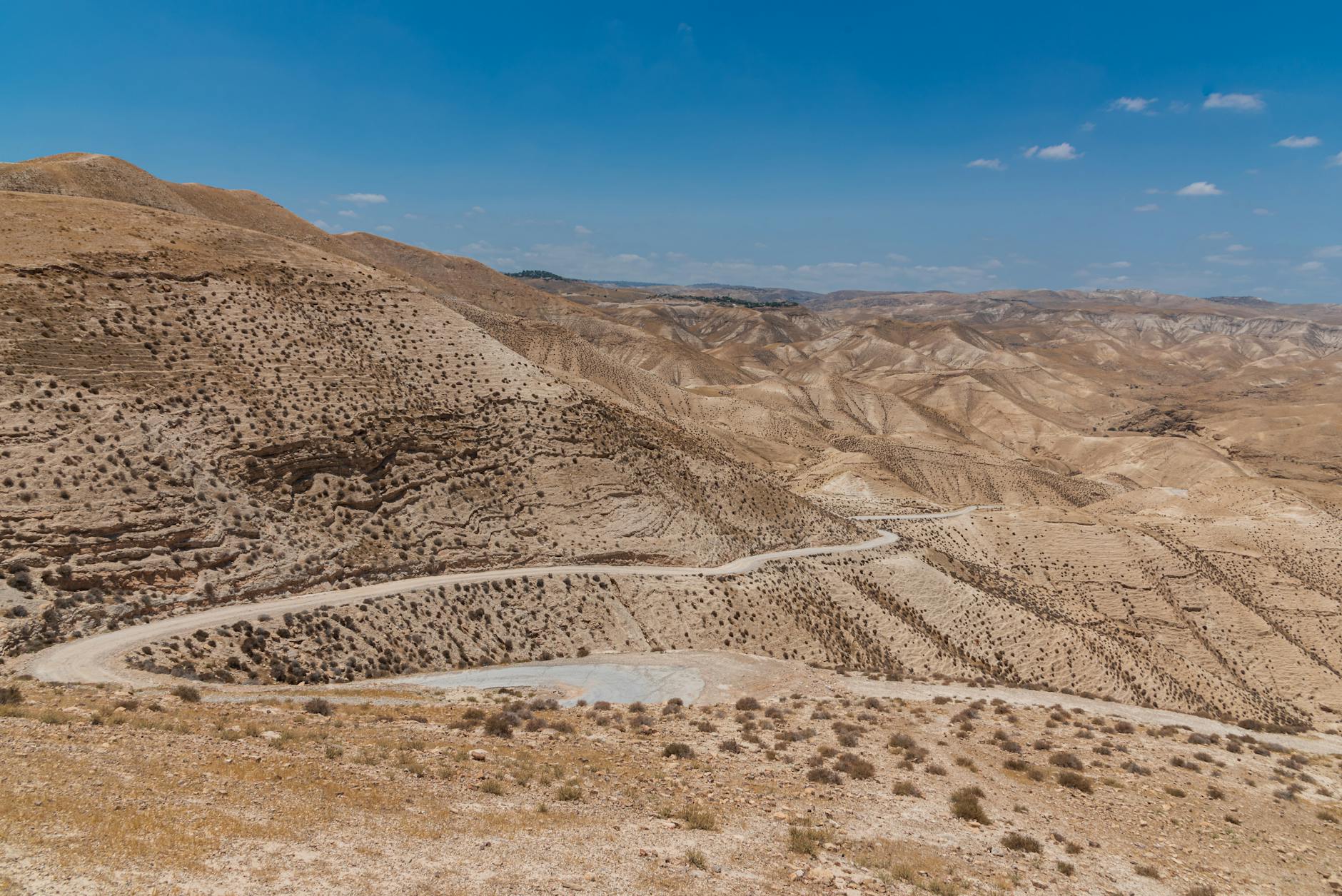 נוף שדה ישראלי — אזור השרון כיעד לטיולי יום קצרים